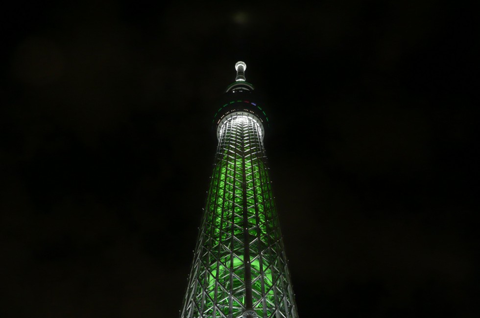 sky_tree_green